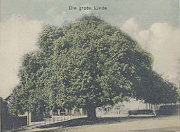 32_B-holm-see-li_1916_2