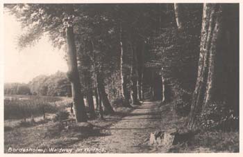 33_B-holm-Waldweg